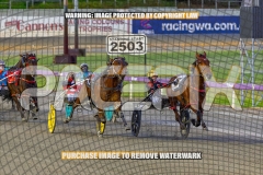 2026_PACEPIX_GP02102026_Race2_Beetastic_WIN_WEB-4