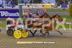 2026_PACEPIX_GP02102026_Race2_Beetastic_WIN_WEB-7