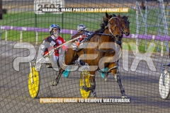 2026_PACEPIX_GP02102026_Race2_Beetastic_WIN_WEB-9