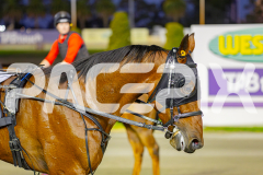 2025_PACEPIX_GP13052025_Race2_BellyUp_WIN_SM_WM-15
