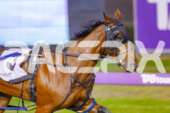 2025_PACEPIX_GP13052025_Race2_BellyUp_WIN_SM_WM-4