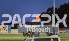 2025_PACEPIX_GP13052025_Race2_BellyUp_WIN_SM_WM-8