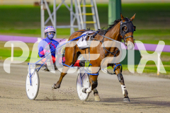 2025_PACEPIX_GP13052025_Race2_BellyUp_WIN_SM_WM-9