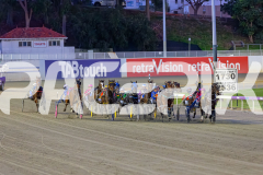 2026_PACEPIX_GP24042026_RACE2_BellyUp_WIN_WEB-1