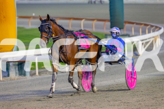 2026_PACEPIX_GP24042026_RACE2_BellyUp_WIN_WEB-12