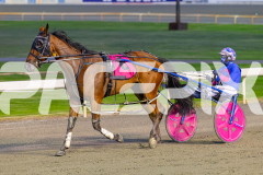 2026_PACEPIX_GP24042026_RACE2_BellyUp_WIN_WEB-13