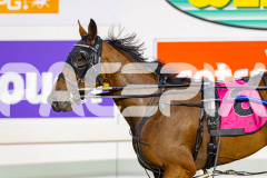 2026_PACEPIX_GP24042026_RACE2_BellyUp_WIN_WEB-14