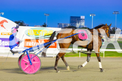 2026_PACEPIX_GP24042026_RACE2_BellyUp_WIN_WEB-19