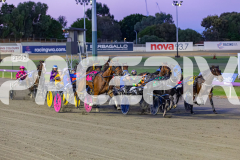 2026_PACEPIX_GP24042026_RACE2_BellyUp_WIN_WEB-3