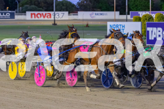 2026_PACEPIX_GP24042026_RACE2_BellyUp_WIN_WEB-4