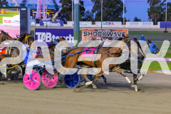 2026_PACEPIX_GP24042026_RACE2_BellyUp_WIN_WEB-6