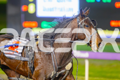 2025_PACEPIX_GP10062025_RACE2_Bigbozz_WIN_WEB-10