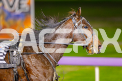 2025_PACEPIX_GP10062025_RACE2_Bigbozz_WIN_WEB-11