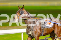2025_PACEPIX_GP10062025_RACE2_Bigbozz_WIN_WEB-13