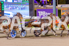 2025_PACEPIX_GP10062025_RACE2_Bigbozz_WIN_WEB-6