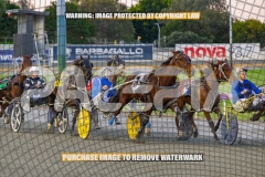 2026_PACEPIX_GP08092026_RACE2_BigBozz_WIN_WEB-1