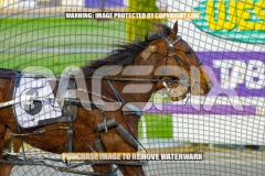 2026_PACEPIX_GP08092026_RACE2_BigBozz_WIN_WEB-12