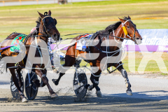 RACE 2 - Bold Jackie