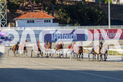 2025_PACEPIX_GP25112025_Race2_BoldJackie_WIN_WEB-1
