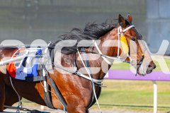 2025_PACEPIX_GP25112025_Race2_BoldJackie_WIN_WEB-10