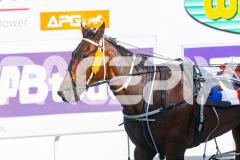 2025_PACEPIX_GP25112025_Race2_BoldJackie_WIN_WEB-13