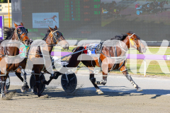 2025_PACEPIX_GP25112025_Race2_BoldJackie_WIN_WEB-6