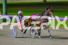 2026_PACEPIX_GP29052026_RACE2_BoyBlue_WIN_WEB-12