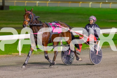 2026_PACEPIX_GP29052026_RACE2_BoyBlue_WIN_WEB-14