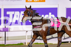 2026_PACEPIX_GP29052026_RACE2_BoyBlue_WIN_WEB-15