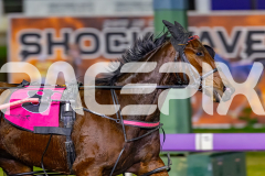 2026_PACEPIX_GP29052026_RACE2_BoyBlue_WIN_WEB-5