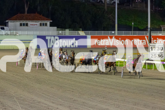 2026_PACEPIX_GP29052026_RACE2_BoyBlue_WIN_WEB-6