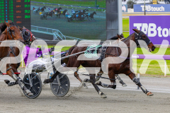 RACE 2 - Bronzed
