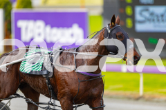 2025_PACEPIX_GP21072025_Race2_Bronzed_WIN_WEB-16