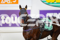 2025_PACEPIX_GP21072025_Race2_Bronzed_WIN_WEB-18