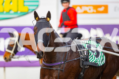 2025_PACEPIX_GP21072025_Race2_Bronzed_WIN_WEB-19