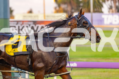 2025_PACEPIX_GP19092025_Race2_Callmewhatuwant_WIN_WEB-17