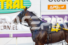 2025_PACEPIX_GP19092025_Race2_Callmewhatuwant_WIN_WEB-20