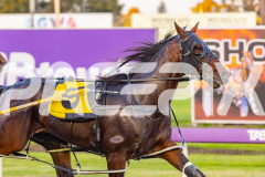 2025_PACEPIX_GP19092025_Race2_Callmewhatuwant_WIN_WEB-4