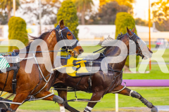 2025_PACEPIX_GP19092025_Race2_Callmewhatuwant_WIN_WEB-5