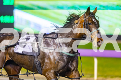 2025_PACEPIX_GP01082025_RACE2_CandyApple_WIN_WEB-17