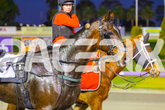 2025_PACEPIX_GP01082025_RACE2_CandyApple_WIN_WEB-20
