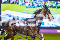 2025_PACEPIX_GP01082025_RACE2_CandyApple_WIN_WEB-3