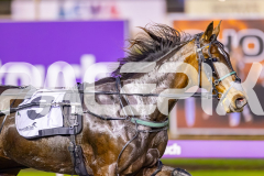 2025_PACEPIX_GP01082025_RACE2_CandyApple_WIN_WEB-7