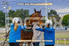 2026_Pacepix_GP23102026_Race2_CaptainStirling_WIN_WEB-11