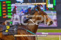 2026_Pacepix_GP23102026_Race2_CaptainStirling_WIN_WEB-7