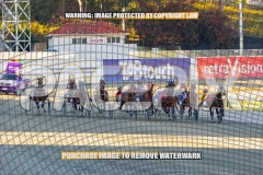 2026_PACEPIX_GP13102026_RACE2_CaraDiana_WIN_WEB-1