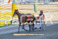 2026_PACEPIX_GP13102026_RACE2_CaraDiana_WIN_WEB-10