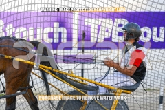 2026_PACEPIX_GP13102026_RACE2_CaraDiana_WIN_WEB-12