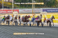2026_PACEPIX_GP13102026_RACE2_CaraDiana_WIN_WEB-2