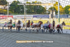 2026_PACEPIX_GP13102026_RACE2_CaraDiana_WIN_WEB-3